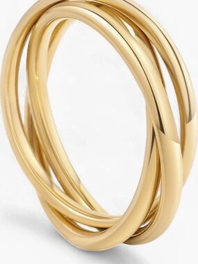 Dainty Interlocking Fidget Ring 18k Gold Plated